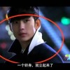 铁树开花是什么数字